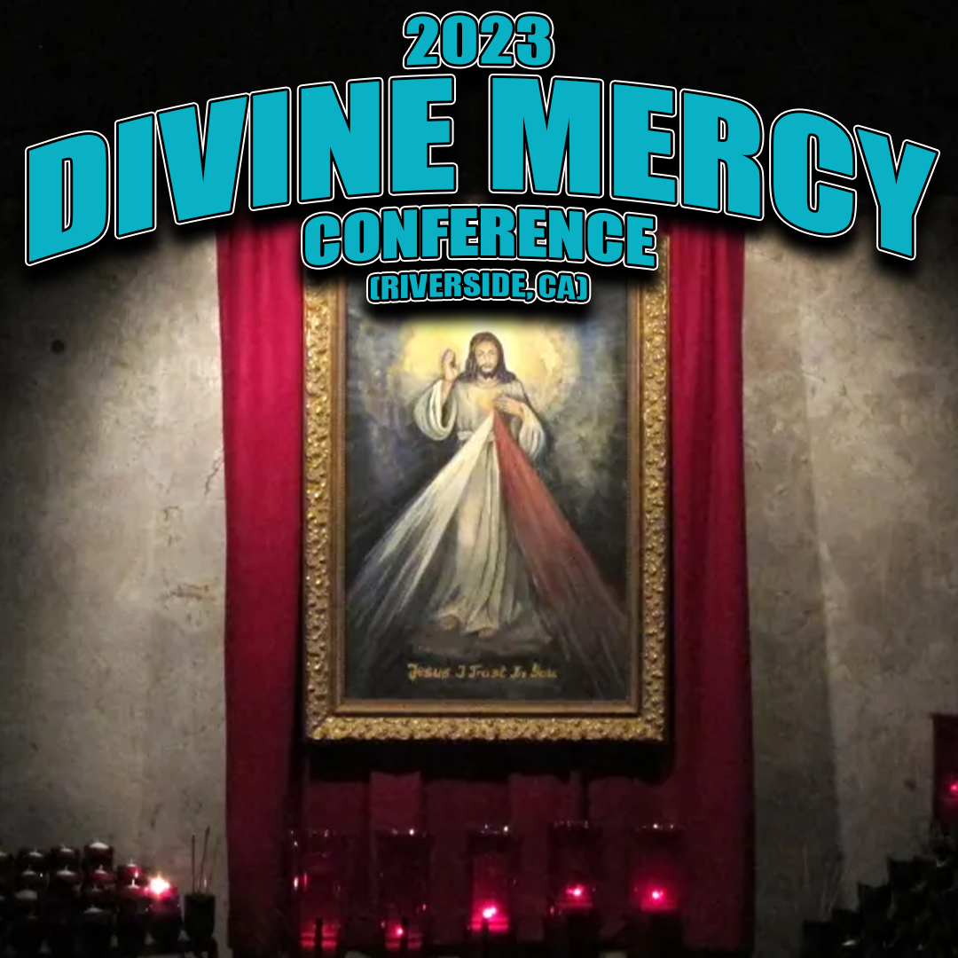 2025 Divine Mercy Conference Joseph Strickland, Father Frank